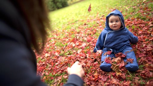 A small child sitting amongst fallen autumn leaves